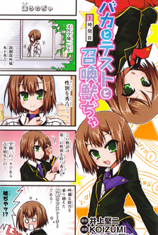 Baka to test to shoukanjuu dya