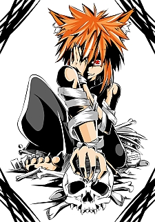Ryuuden Novel