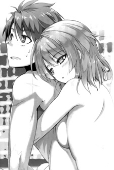Shinmai Maou no Testament