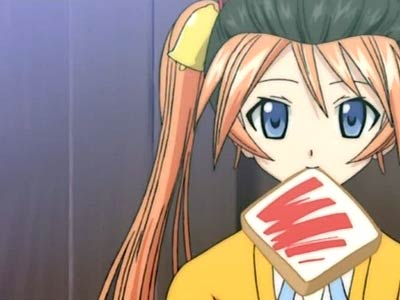Negima!?
