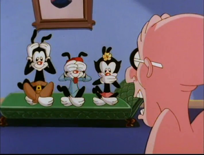 Animaniacs (1993)