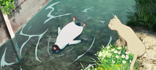 Penguin Highway