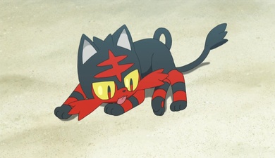 Pokemon sole e luna