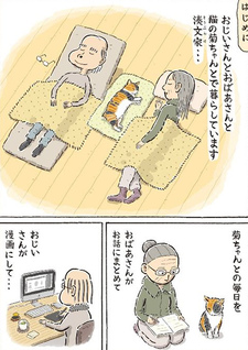 Kiku the Cat