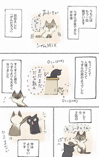 Neko-tsure kusa - Uzura to kantarou tsurezure nyakki