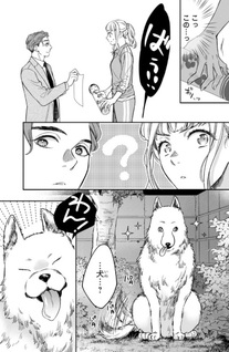 Shirayuki Yume to n-nin no Yume Kareshi