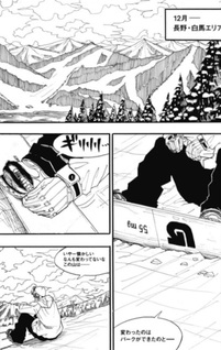 Snow Drop