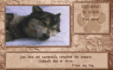 Wolf