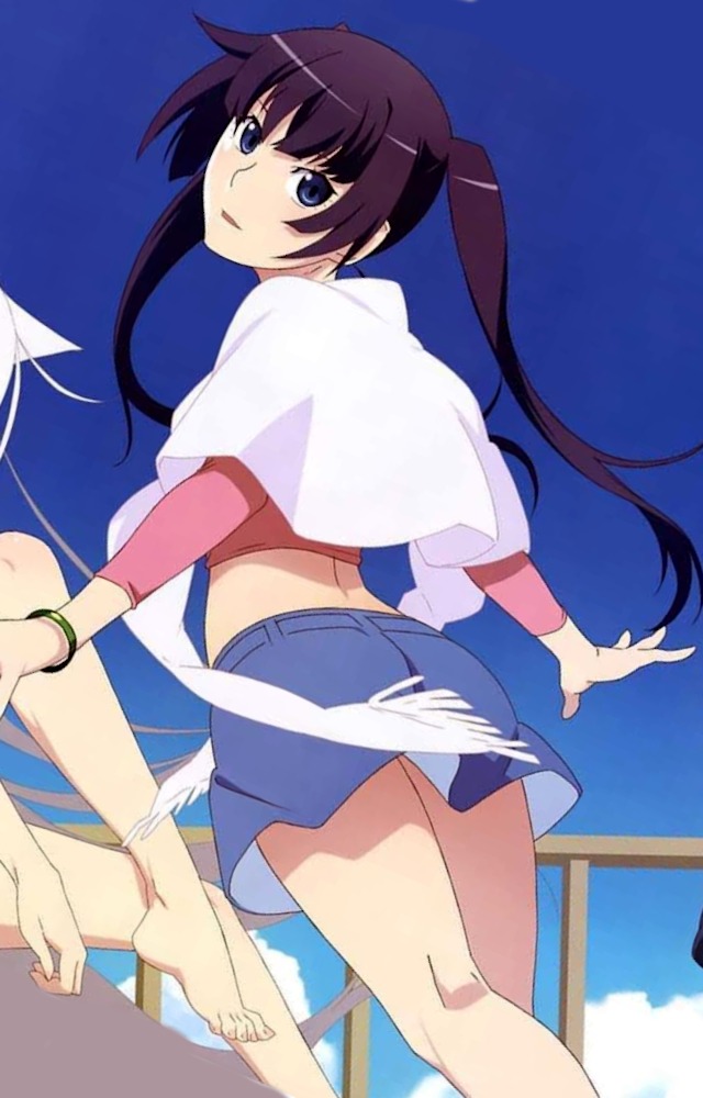 Hitagi Senjougahara (Monogatari Series Off & Monster Season) Hitagi Senjougahara