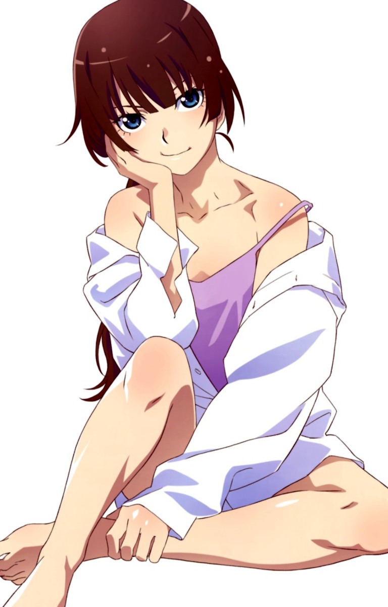 Hitagi Senjougahara (Monogatari Series Off & Monster Season) Hitagi Senjougahara