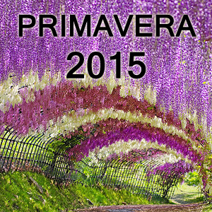 <b>animeclick.live consiglia: Anime terminati nella primavera 2015</b>
