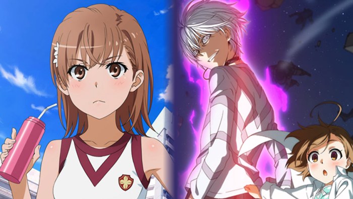 Railgun e Accelerator! Nuovi anime non solo per Index