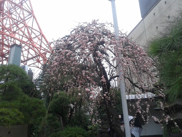 Tokyo 2 Tokyo 2